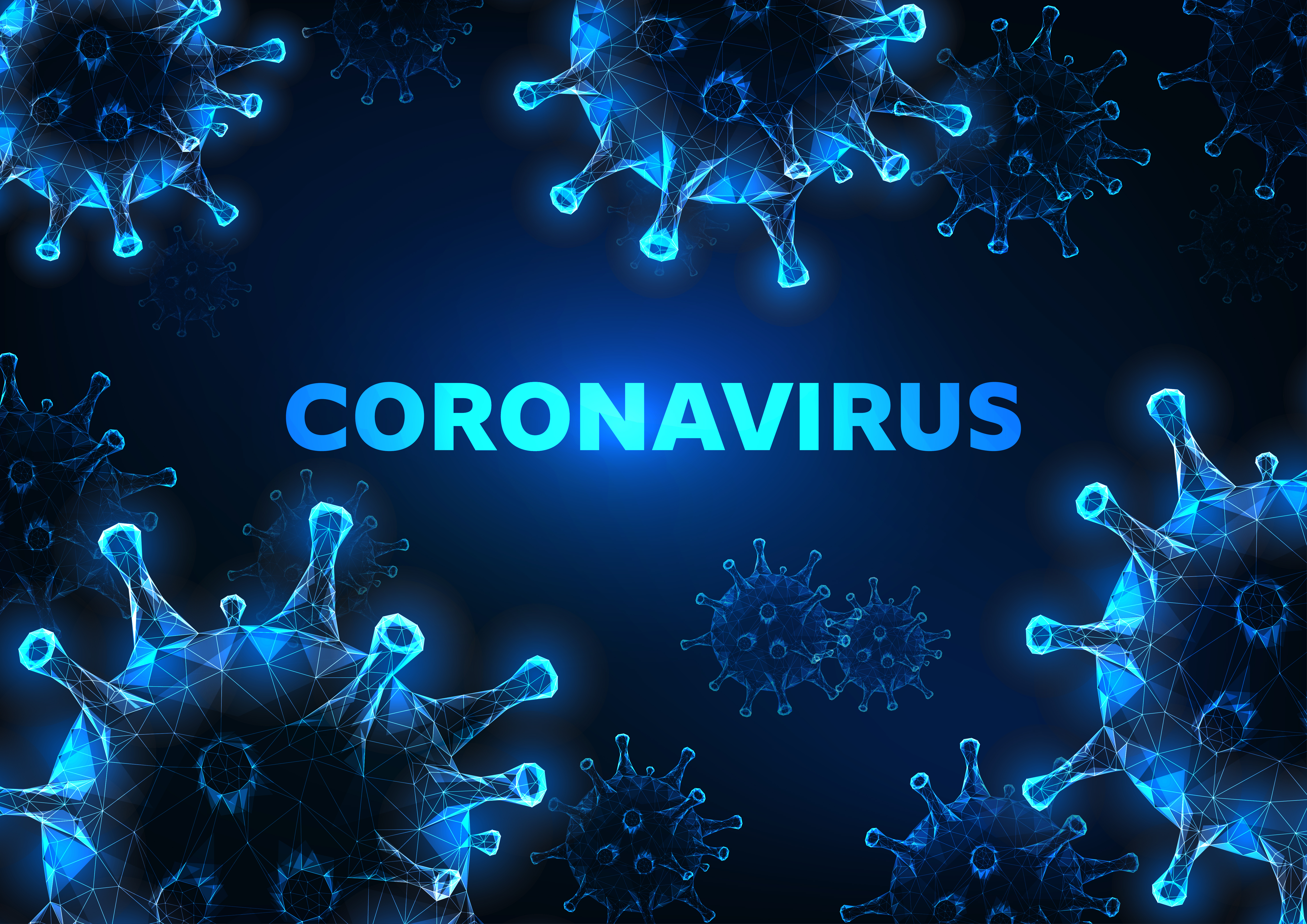 coronavirus government summary